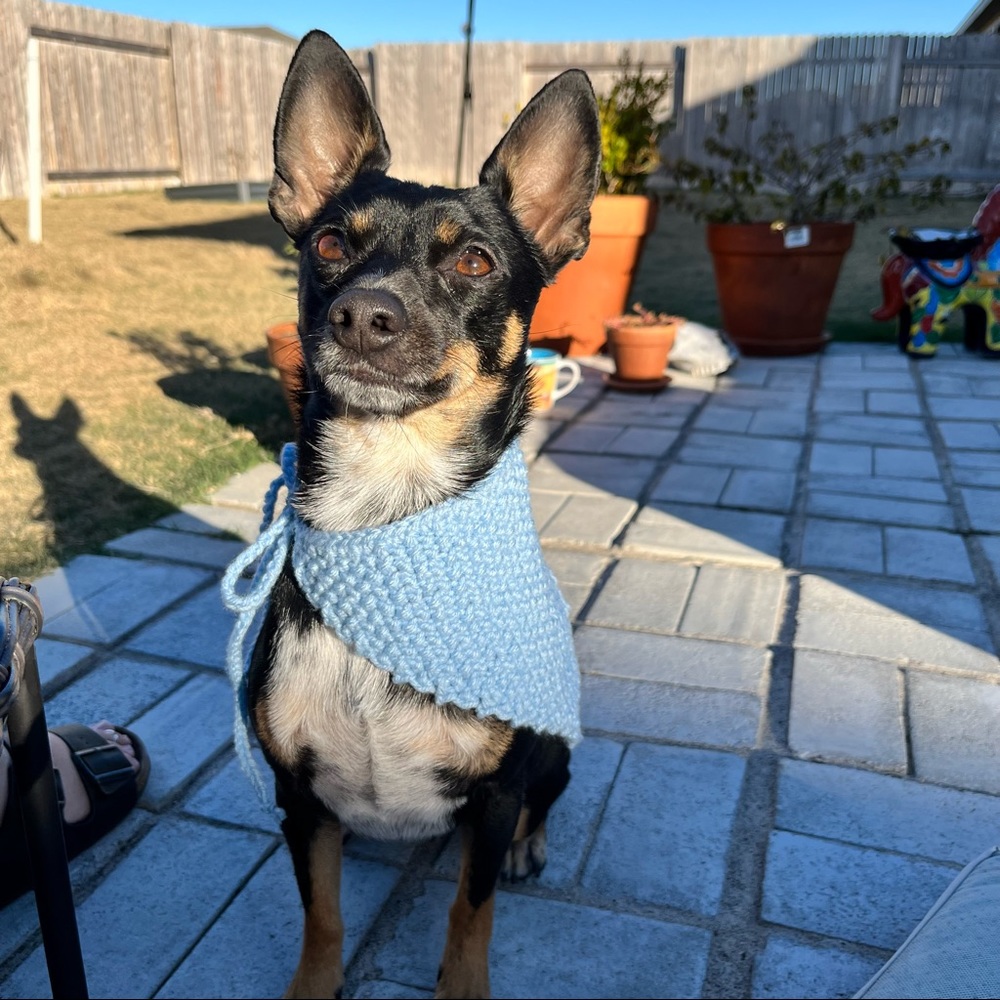 Dog Bandana Hand Knit in USA Western Dog Outfit Tie Scarf